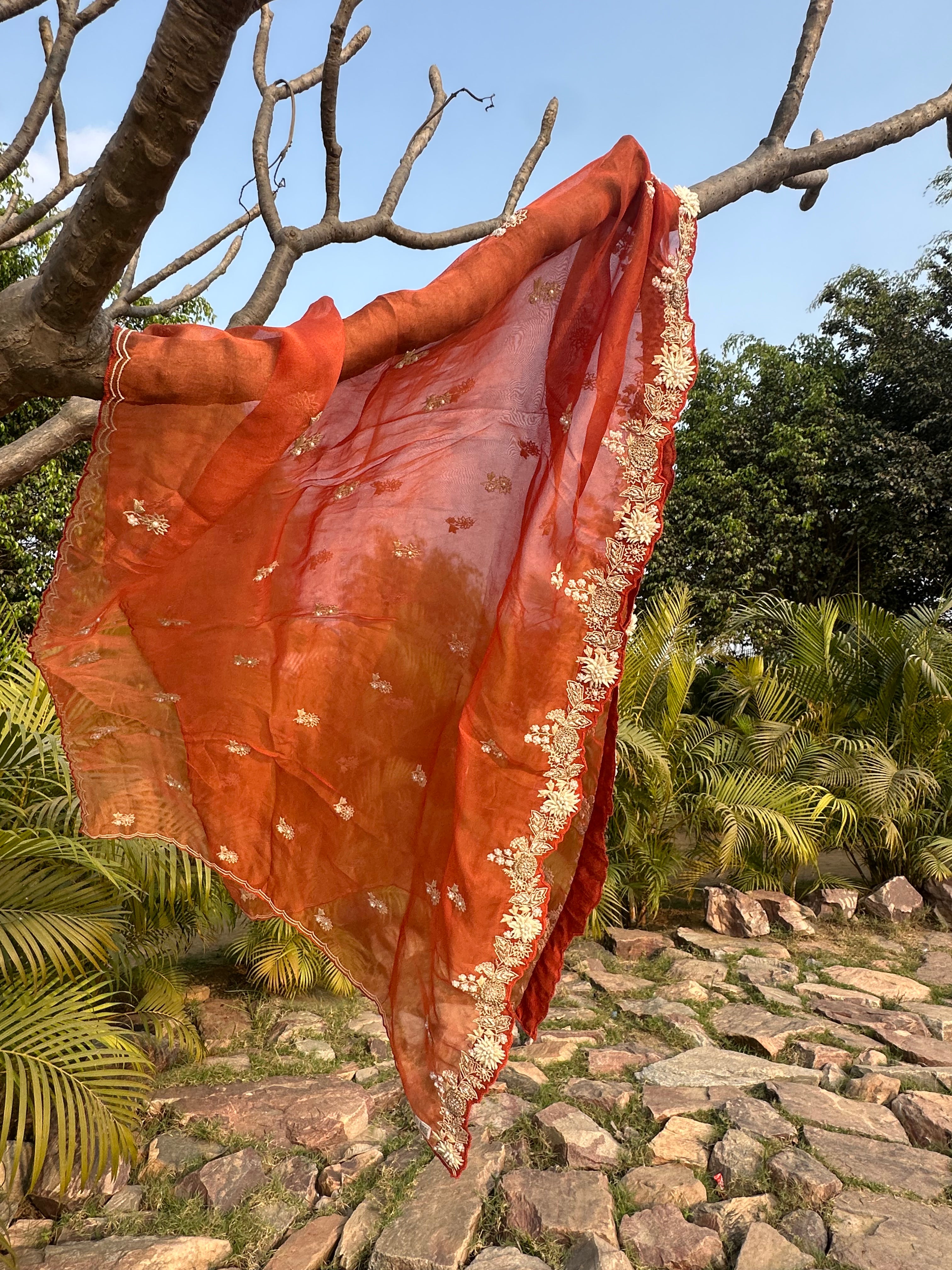 Terracotta Burnt Orange Appliqué Work Dupatta