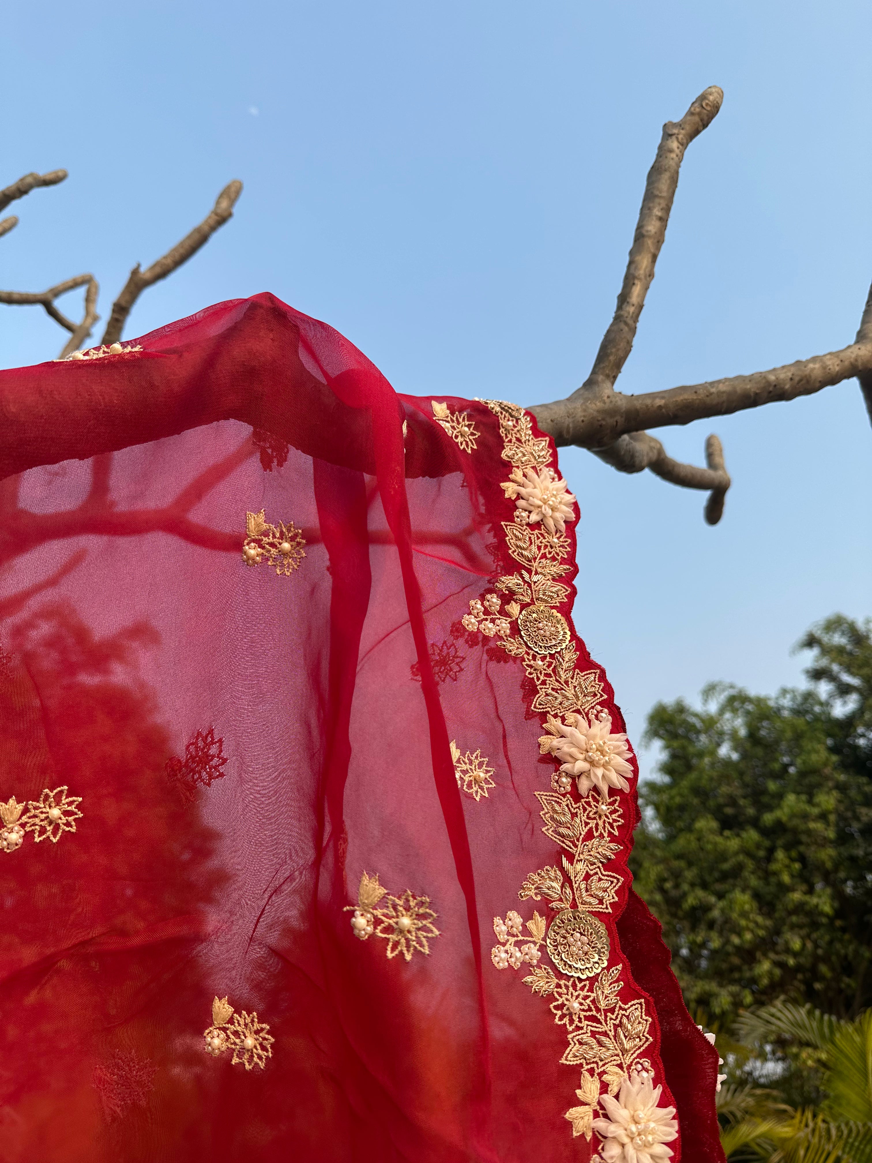 Pomegranate Wine Organza Appliqué Work Dupatta