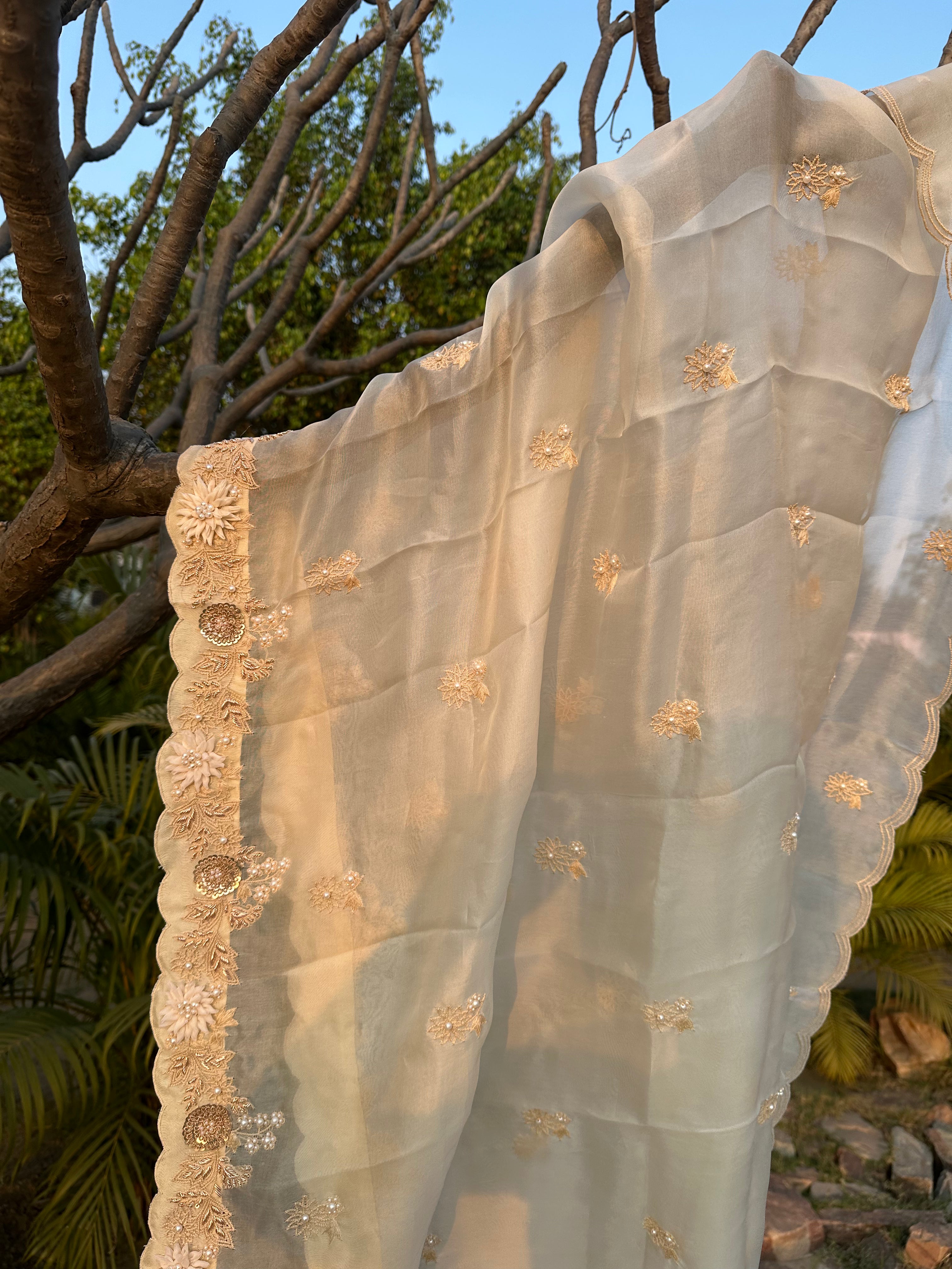 Parchment Organza Appliqué Work Dupatta