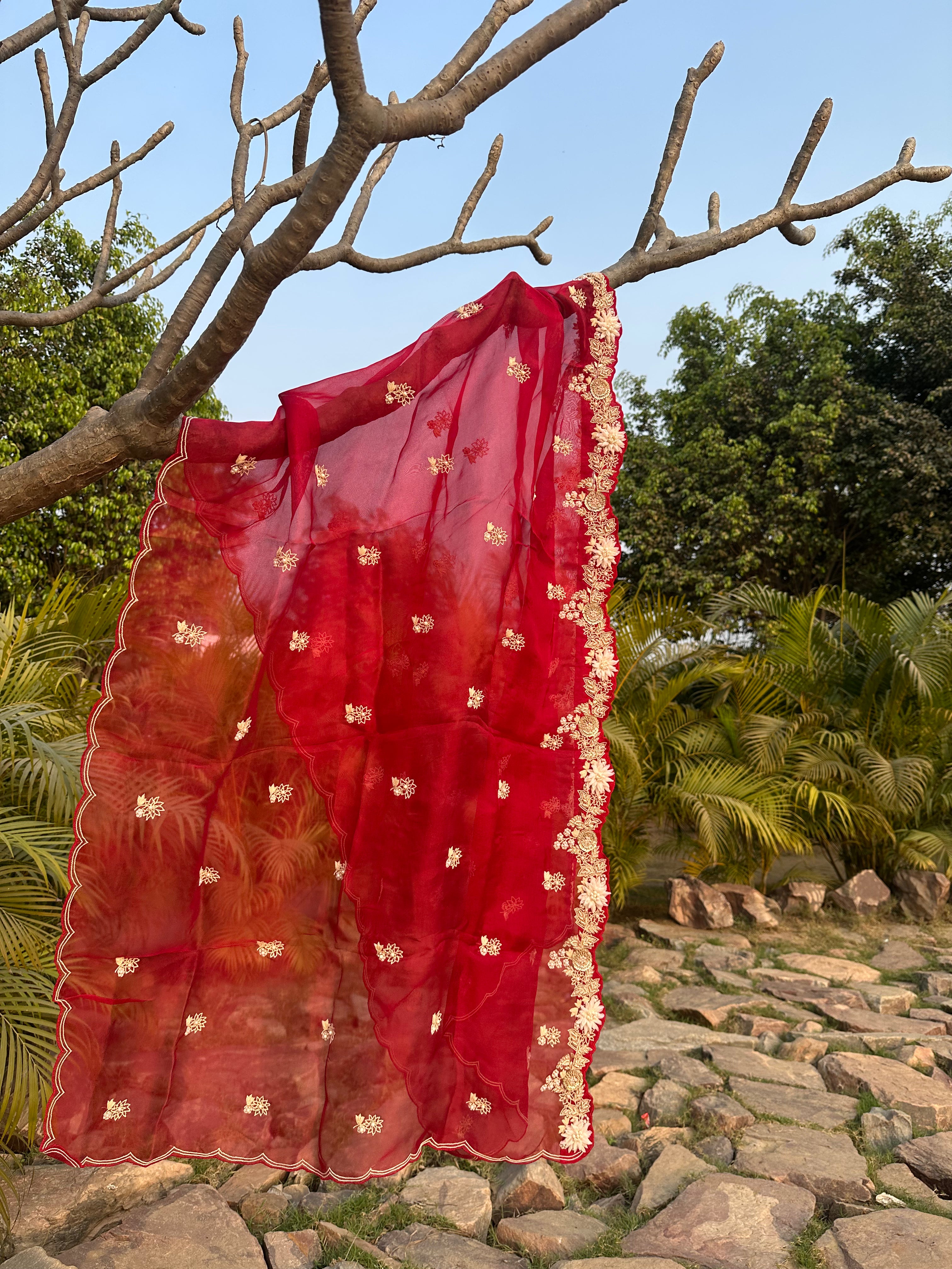 Pomegranate Wine Organza Appliqué Work Dupatta